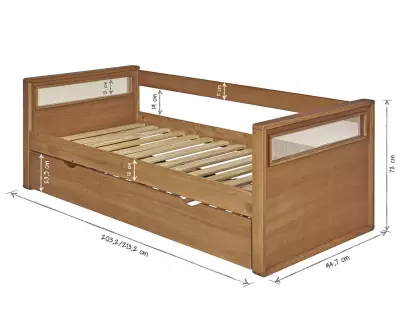 Dimension Levant adulte