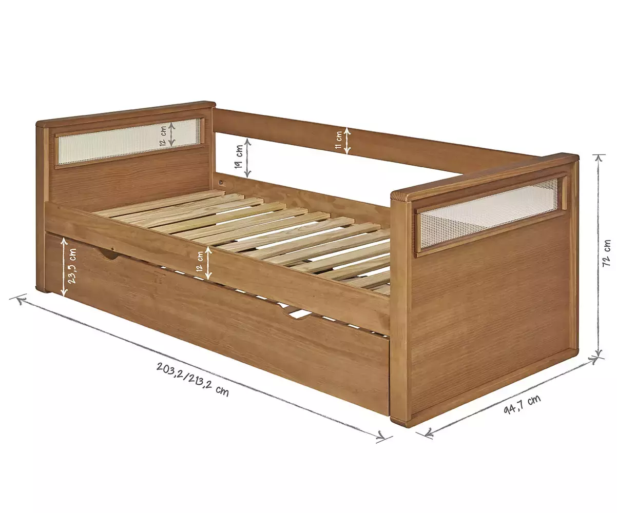 Dimension Levant adulte Dimension Levant adulte