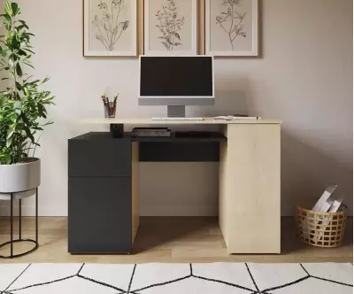 Bureau Caral avec grand espace de travail