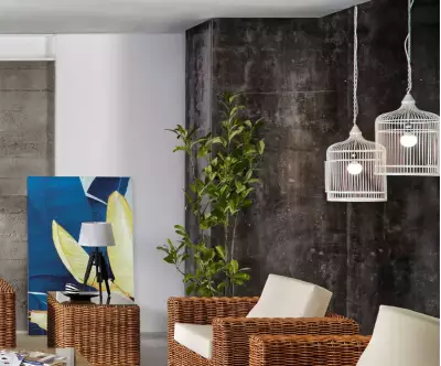 suspension luminaire