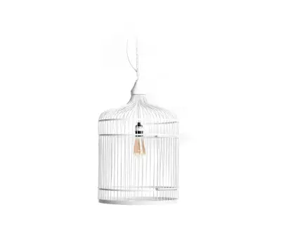 Suspension Maleo